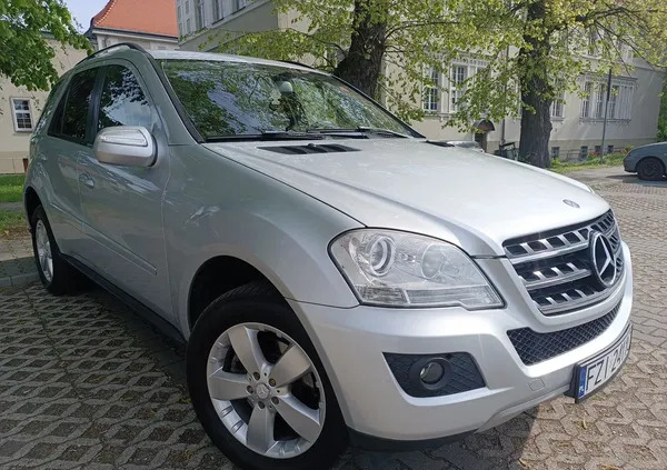 lubuskie Mercedes-Benz ML cena 34900 przebieg: 419000, rok produkcji 2008 z Pyrzyce